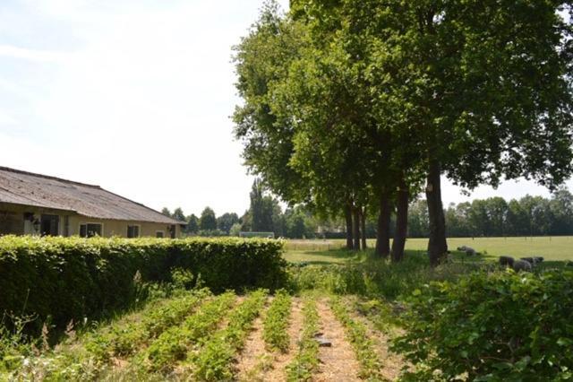 Den Dungen Residentie De Hoek מראה חיצוני תמונה